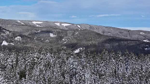 Aerial view of Weststeiermark forest in winter Austria.
