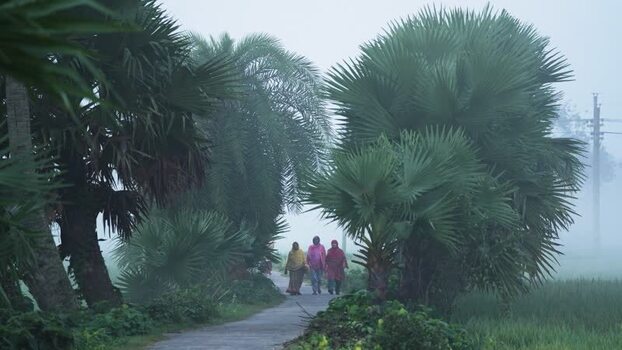 View of people walking on a rural path with palm trees Bangladesh. View of people walking on a rural path with palm trees Bangladesh.