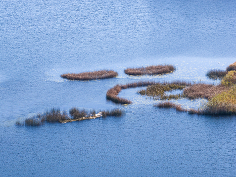 Aerial view of small islands of brown reeds scattered across the calm blue water of a lake in Lithuania. Aerial view of small islands of brown reeds scattered across the calm blue water of a lake in Lithuania.