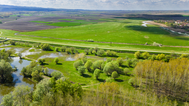 Aerial view of lush green fields meeting the wetlands where trees stand amidst the water reflecting the sky Kovilj Vojvodina Serbia. Aerial view of lush green fields meeting the wetlands where trees stand amidst the water reflecting the sky Kovilj Vojvodina Serbia.