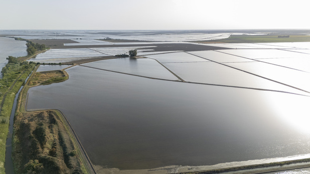 Aerial view of the flooded rice fields of Isla Minima with reflecting water and irrigation canals in Coria del Rio Andalusia Spain. Aerial view of the flooded rice fields of Isla Minima with reflecting water and irrigation canals in Coria del Rio Andalusia Spain.