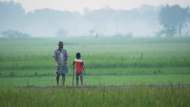 View of a man and child in a green field in Bogura Bangladesh. View of a man and child in a green field in Bogura Bangladesh.