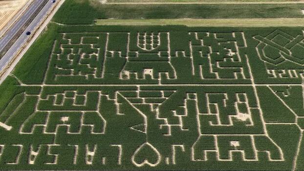 Aerial view of Labyrinthis corn maze in Soultz Haut Rhin France.
