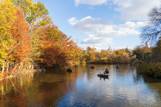 Manhattan United States 08 November 2025 View of the serene lake in Central Park reflecting a kaleidoscope of autumn colors under a bright blue sky. Manhattan United States 08 November 2025 View of the serene lake in Central Park reflecting a kaleidoscope of autumn colors under a bright blue sky.