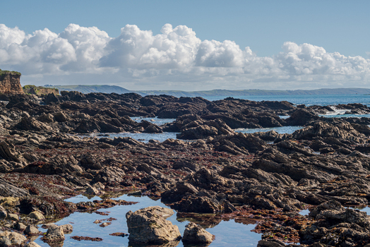 View of the rugged rocky coastline of Portnadler Bay along the South West Coastal Path with tide pools and a blue sky with clouds in Looe Cornwall United Kingdom. View of the rugged rocky coastline of Portnadler Bay along the South West Coastal Path with tide pools and a blue sky with clouds in Looe Cornwall United Kingdom.
