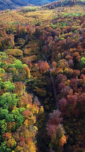 Aerial view of autumn forest in Miskolc Hungary. Aerial view of autumn forest in Miskolc Hungary.