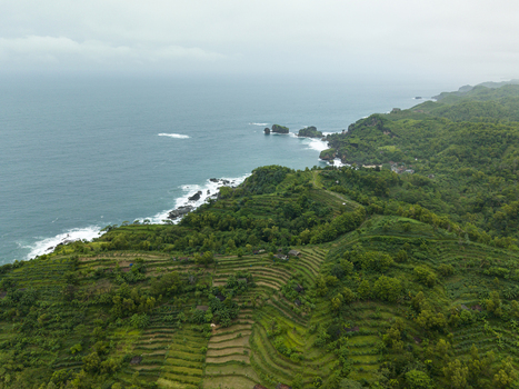 Aerial view of the dramatic Pengilon Hill coastline where the lush green terraces meet the turquoise sea Gunungkidul Regency Daerah Istimewa Yogyakarta Indonesia. Aerial view of the dramatic Pengilon Hill coastline where the lush green terraces meet the turquoise sea Gunungkidul Regency Daerah Istimewa Yogyakarta Indonesia.
