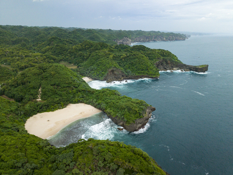 Aerial view of the lush green coastline meeting the turquoise sea at Sedahan Beach a hidden gem Gunungkidul Regency Special Region of Yogyakarta Indonesia. Aerial view of the lush green coastline meeting the turquoise sea at Sedahan Beach a hidden gem Gunungkidul Regency Special Region of Yogyakarta Indonesia.