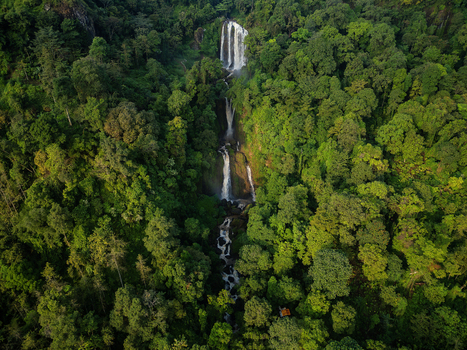 Aerial view of the multi tiered Curug Telu waterfall cascading through a dense tropical rainforest with lush green trees and a rocky stream in Patean Central Java Indonesia. Aerial view of the multi tiered Curug Telu waterfall cascading through a dense tropical rainforest with lush green trees and a rocky stream in Patean Central Java Indonesia.