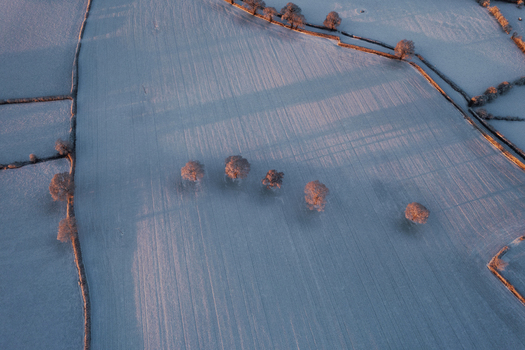 Aerial view of frost covered fields divided by stone walls with scattered trees casting long shadows during golden hour in Marston England United Kingdom. Aerial view of frost covered fields divided by stone walls with scattered trees casting long shadows during golden hour in Marston England United Kingdom.