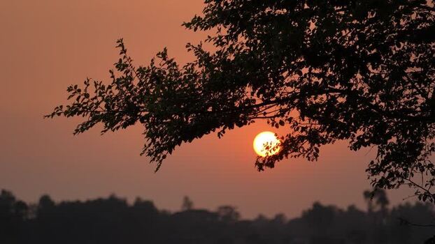 View of the sun setting behind tree branches in Bogura Bangladesh. View of the sun setting behind tree branches in Bogura Bangladesh.