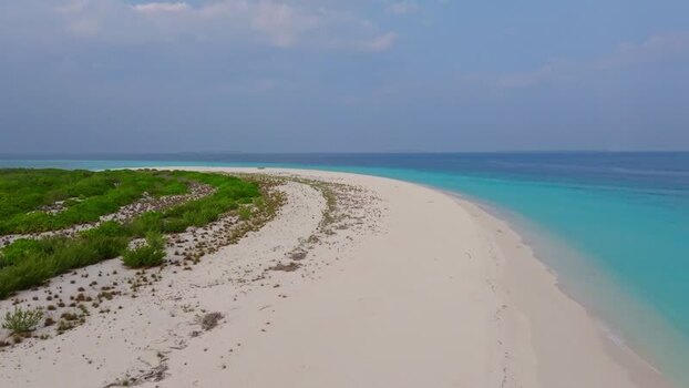 Aerial view of beach with green vegetation Maldives.