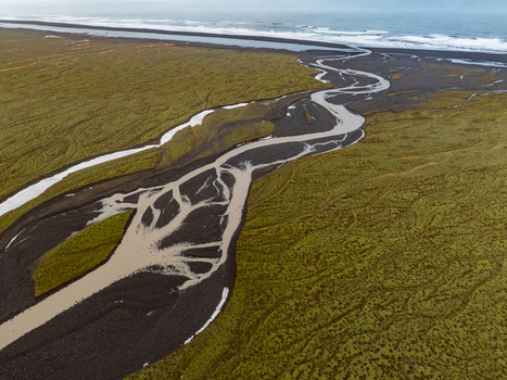 Aerial view of a braided river flowing through a vibrant green mossy landscape towards the black volcanic sand beach and the ocean in Iceland. Aerial view of a braided river flowing through a vibrant green mossy landscape towards the black volcanic sand beach and the ocean in Iceland.