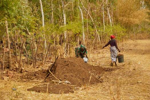 Kundu Federal Capital Territory Nigeria 19 September 2026 View of two women working with soil at SCL Agroindustrial Farm with dry vegetation and trees in the background. Kundu Federal Capital Territory Nigeria 19 September 2026 View of two women working with soil at SCL Agroindustrial Farm with dry vegetation and trees in the background.