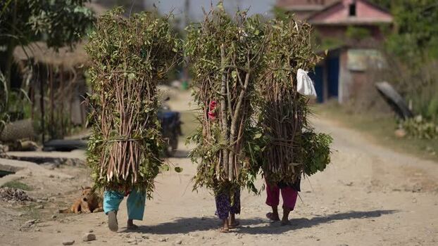 View of people carrying firewood on a rural road Nepal. View of people carrying firewood on a rural road Nepal.