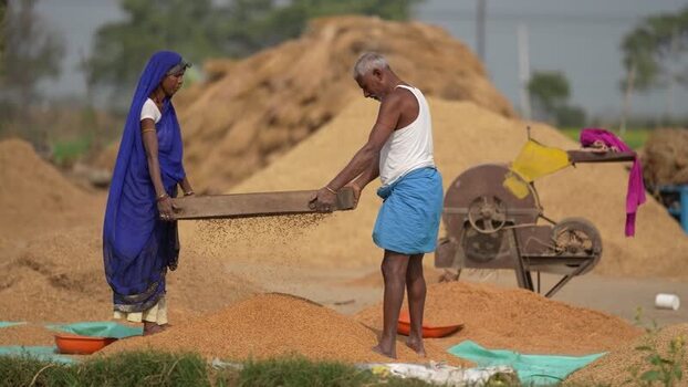 View of farmers winnowing grain in a rural field in Patna India.