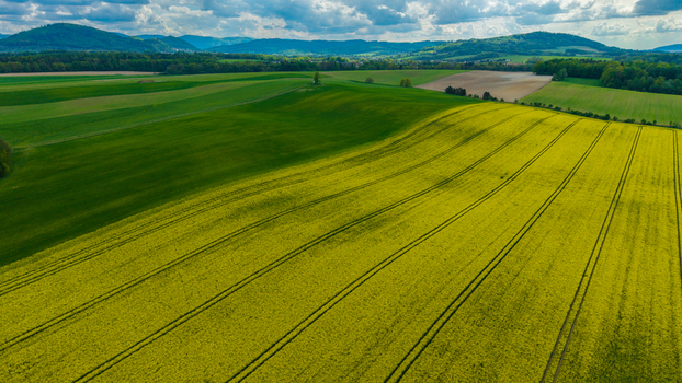 Aerial view of vibrant yellow rapeseed fields and rolling green meadows under a cloudy sky with distant hills Pribor Moravian Silesian Reg Czechia. Aerial view of vibrant yellow rapeseed fields and rolling green meadows under a cloudy sky with distant hills Pribor Moravian Silesian Reg Czechia.