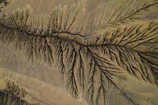 Aerial view of intricate erosion patterns resembling tree branches carved into the arid landscape of Nepal.