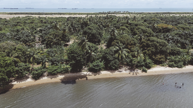 Aerial view of a lush tropical coastline with dense palm trees a sandy beach and people swimming in the water with ships on the horizon Badagry Lagos Nigeria.