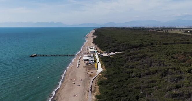 Aerial view of the sandy coastline and pine forest Italy.