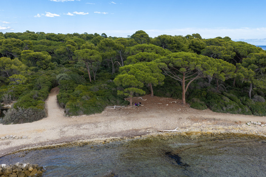 Aerial view of Ile Sainte Marguerite featuring a dense pine forest a dirt path and a rocky beach along the Mediterranean Sea in Cannes Provence Alpes Cote d Azur France. Aerial view of Ile Sainte Marguerite featuring a dense pine forest a dirt path and a rocky beach along the Mediterranean Sea in Cannes Provence Alpes Cote d Azur France.