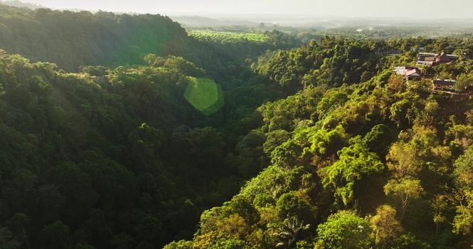 Aerial view of a lush tropical forest valley with dense vegetation and sunlight filtering through the trees in Lombok West Nusa Tenggara Indonesia.