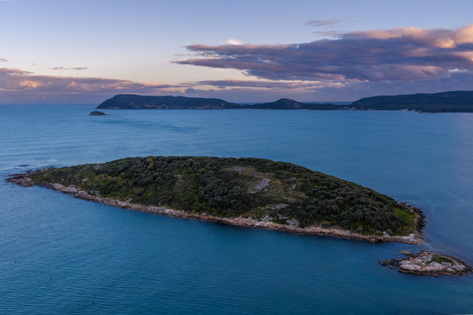 Aerial view of Torndirrup National Park coastline featuring a small island surrounded by deep blue ocean waters under a soft sunset sky in Albany Western Australia Australia. Aerial view of Torndirrup National Park coastline featuring a small island surrounded by deep blue ocean waters under a soft sunset sky in Albany Western Australia Australia.