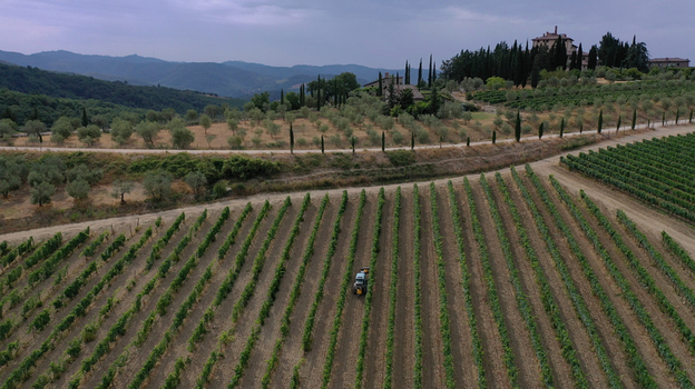 Aerial view of lush green vineyards with a tractor working between rows surrounded by olive trees and a traditional villa in Greve in Chianti Tuscany Italy. Aerial view of lush green vineyards with a tractor working between rows surrounded by olive trees and a traditional villa in Greve in Chianti Tuscany Italy.