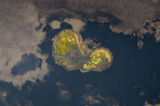 Aerial view of the lush green vegetation of Caldeira Branca surrounded by the dark waters of a volcanic lagoon in Faja Grande Azores Portugal. Aerial view of the lush green vegetation of Caldeira Branca surrounded by the dark waters of a volcanic lagoon in Faja Grande Azores Portugal.