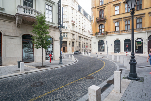 View of a cobblestone street lined with historic buildings a street lamp and a tree in Budapest Hungary.