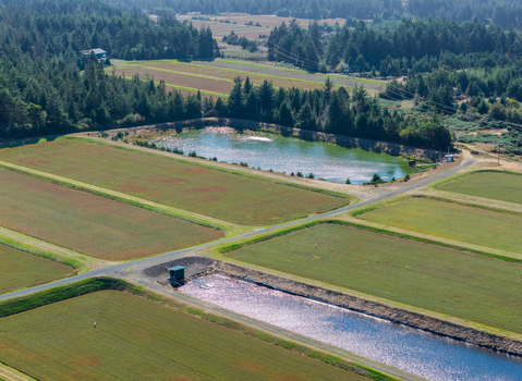 Aerial view of cranberry bogs with irrigation ponds and surrounding forest in Bandon Oregon United States. Aerial view of cranberry bogs with irrigation ponds and surrounding forest in Bandon Oregon United States.