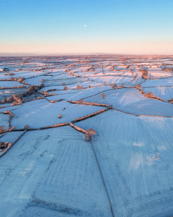Aerial view of snow covered fields and hedgerows in the winter landscape during golden hour in Marston England United Kingdom. Aerial view of snow covered fields and hedgerows in the winter landscape during golden hour in Marston England United Kingdom.