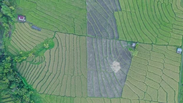Aerial view of terraced rice fields in Bajawa Indonesia. Aerial view of terraced rice fields in Bajawa Indonesia.