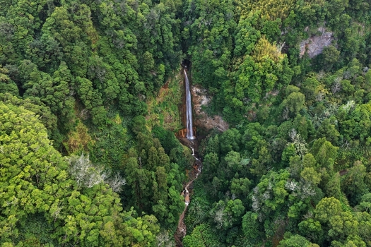 Aerial view of Cascata da Ribeira Quente waterfall cascading down rocky cliffs surrounded by dense green forest in Ribeira Quente Azores Portugal. Aerial view of Cascata da Ribeira Quente waterfall cascading down rocky cliffs surrounded by dense green forest in Ribeira Quente Azores Portugal.