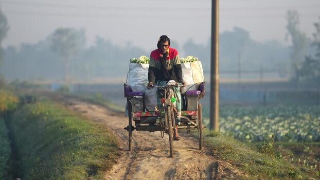 View of a man riding a rickshaw van with vegetables Bangladesh. View of a man riding a rickshaw van with vegetables Bangladesh.