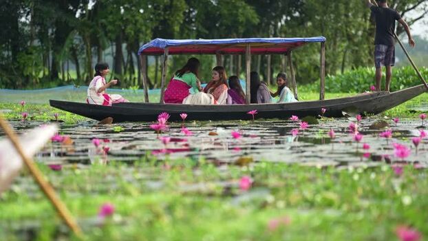 View of women in a wooden boat on a water lily pond Bangladesh. View of women in a wooden boat on a water lily pond Bangladesh.