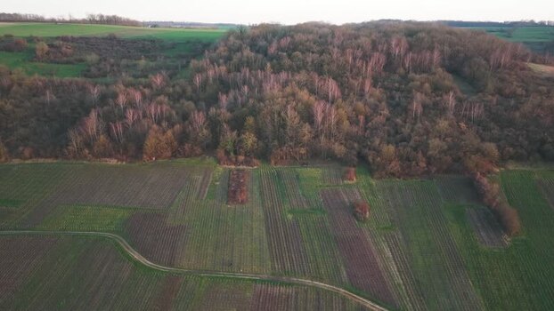 Aerial view of fields and forest France.