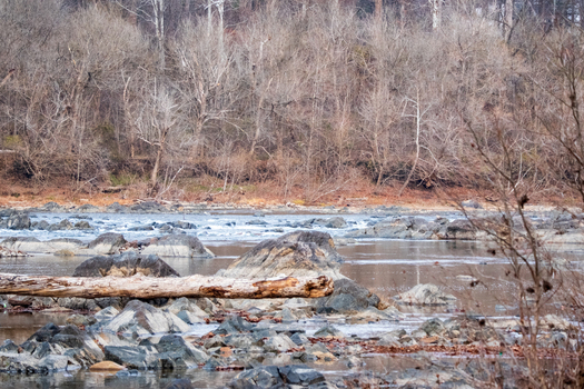 AAB_A456019 AAB_A456019