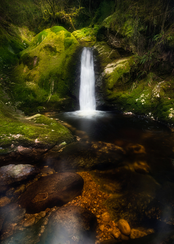 View of a small waterfall cascading into a dark pool surrounded by lush moss covered rocks and dense green forest vegetation along the Wicklow Way County Wicklow Ireland. View of a small waterfall cascading into a dark pool surrounded by lush moss covered rocks and dense green forest vegetation along the Wicklow Way County Wicklow Ireland.