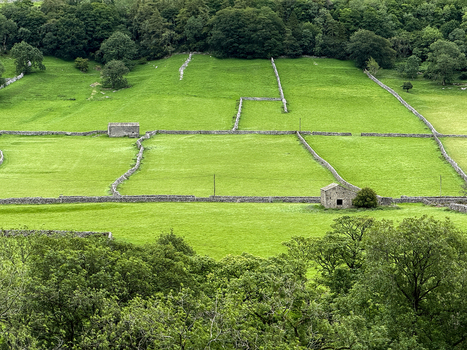 View of lush green pastures divided by traditional dry stone walls and small stone barns located in Hawes England United Kingdom. View of lush green pastures divided by traditional dry stone walls and small stone barns located in Hawes England United Kingdom.