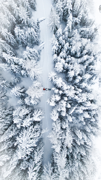 Aerial view of a snow laden path a serene winter wonderland where trees stand cloaked in white a solitary figure adding a touch of color Grimentz Switzerland.