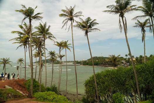 View of tall palm trees at Coconut Tree Hill overlooking the turquoise ocean and coastline with people standing on the shore Mirissa Southern Province Sri Lanka. View of tall palm trees at Coconut Tree Hill overlooking the turquoise ocean and coastline with people standing on the shore Mirissa Southern Province Sri Lanka.