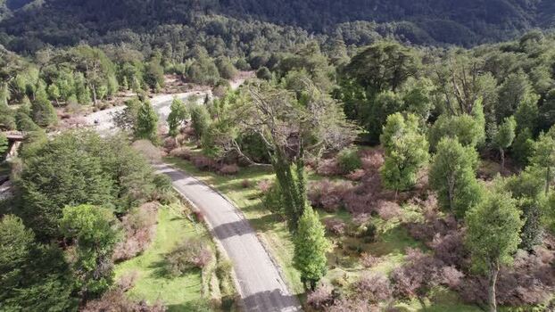 Aerial view of a winding road through a forest Chile.