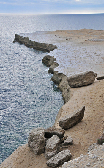 View of the rugged cliffs of Puerto Piramides with sea lions resting on the sandy plateau overlooking the Atlantic Ocean in Puerto Madryn Chubut Argentina. View of the rugged cliffs of Puerto Piramides with sea lions resting on the sandy plateau overlooking the Atlantic Ocean in Puerto Madryn Chubut Argentina.