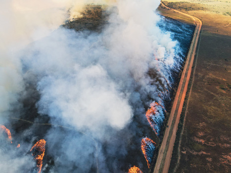 Aerial view of a wildfire burning through dry vegetation with thick smoke and visible flames near a dirt road in Waterberg District Municipality Limpopo South Africa.
