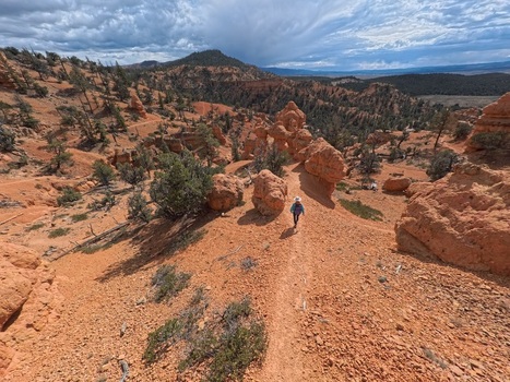 Aerial view of a hiker walking along a trail in Casto Canyon surrounded by red rock formations pine trees and desert landscape under a cloudy sky in Bryce Canyon City Utah United States. Aerial view of a hiker walking along a trail in Casto Canyon surrounded by red rock formations pine trees and desert landscape under a cloudy sky in Bryce Canyon City Utah United States.