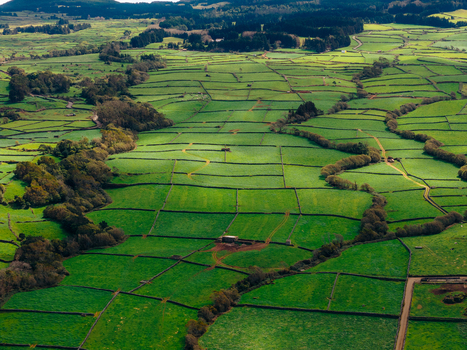 Aerial view of lush green patchwork fields divided by traditional stone walls and rolling hills on Terceira Island Azores Portugal. Aerial view of lush green patchwork fields divided by traditional stone walls and rolling hills on Terceira Island Azores Portugal.
