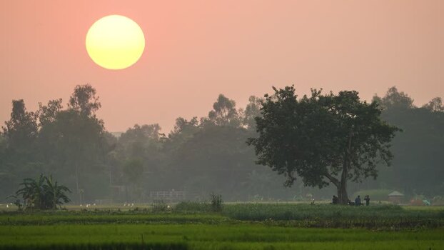 View of a golden sunset over rural fields Bangladesh.