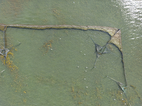 Aerial view of traditional fishing structures in Shkodra Lake with birds flying over the clear water and aquatic vegetation in Shkoder Shkoder County Albania. Aerial view of traditional fishing structures in Shkodra Lake with birds flying over the clear water and aquatic vegetation in Shkoder Shkoder County Albania.