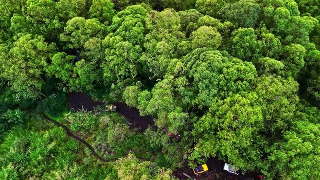 Aerial view of tropical forest and dirt road in Bali Indonesia.